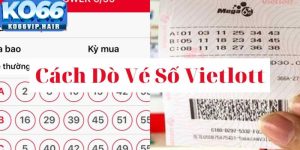 Cách Dò Vé Số Vietlott 6/55 – Hướng Dẫn Chi Tiết Và Mẹo Hay