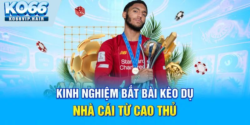 Kinh nghiệm bắt bài kèo dụ nhà cái từ cao thủ